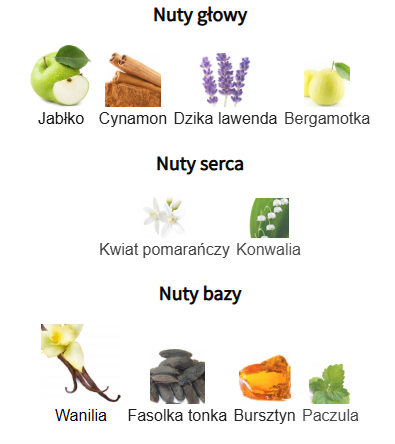 Afnan 9pm - Odlewka perfumu